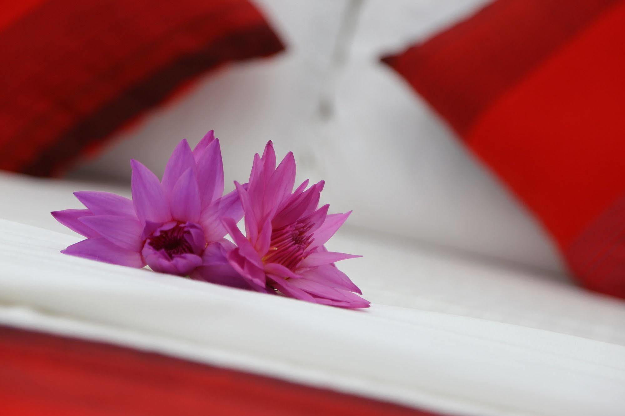 Thilaka City Hotel Anuradhapura Luaran gambar